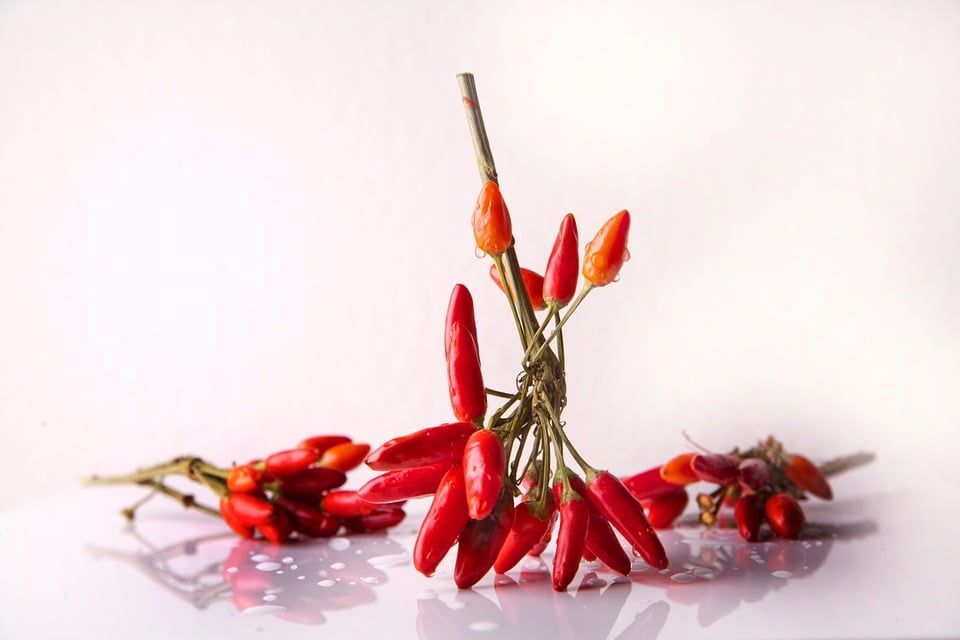 chili-664635_960_720