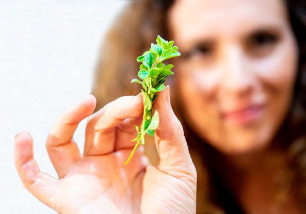 מה זה בעצם 'אוכל אמיתי Real Food'